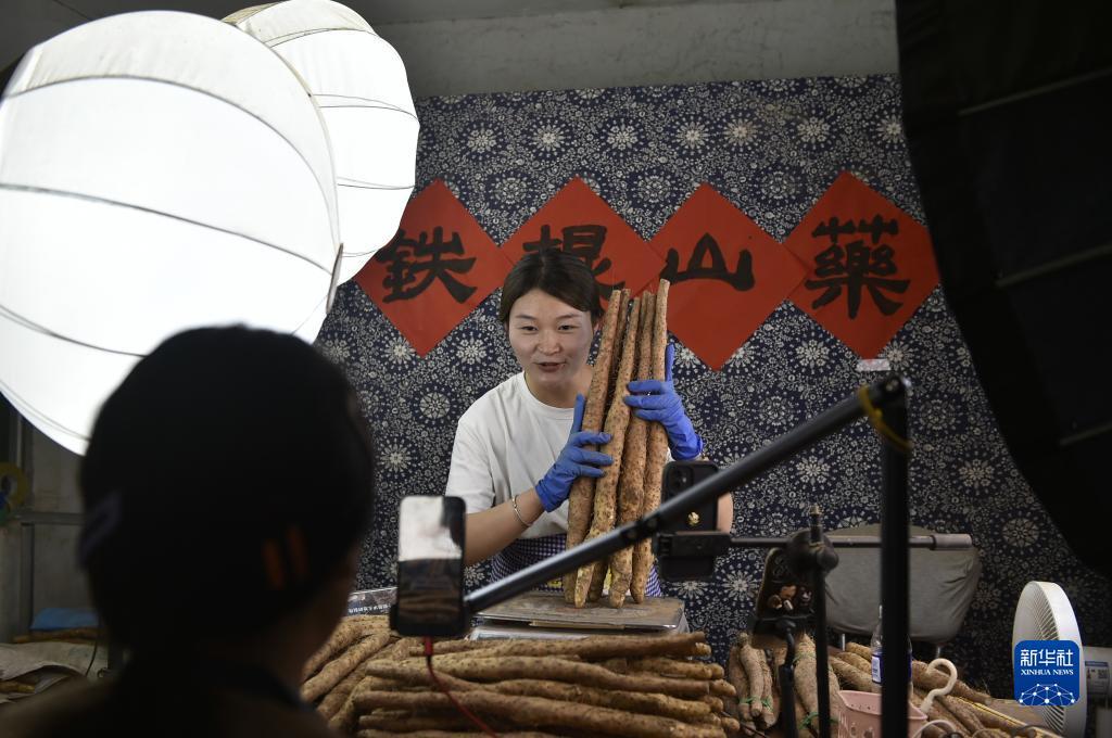 捕鱼游戏免费下载